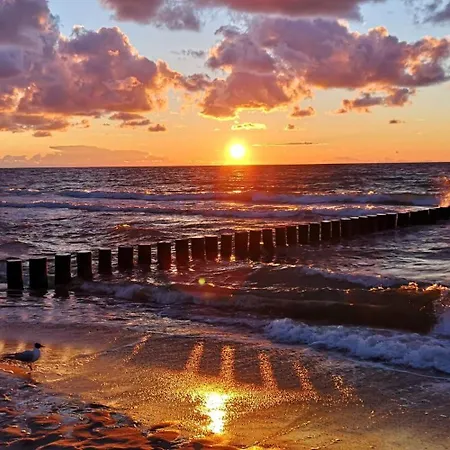 Sea Cliff Apartamento